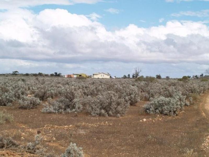 31 Slaughterhouse Road, Morgan SA 5320