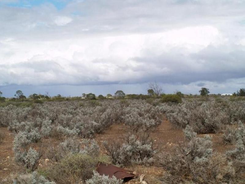 31 Slaughterhouse Road, Morgan SA 5320