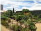 5 Milich Court, Loxton SA 5333