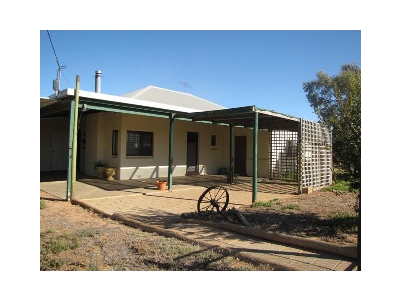 65 Forward Avenue, Loveday SA 5345