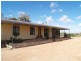 Lot 337 Blanchetown Road, Morgan SA 5320