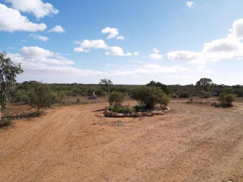 Lot 337 Blanchetown Road, Morgan SA 5320