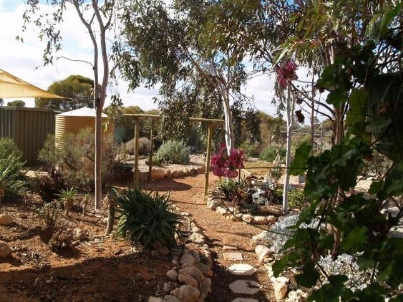 Lot 337 Blanchetown Road, Morgan SA 5320