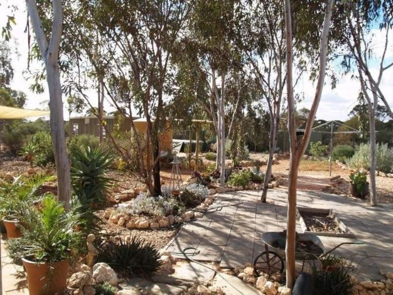 Lot 337 Blanchetown Road, Morgan SA 5320
