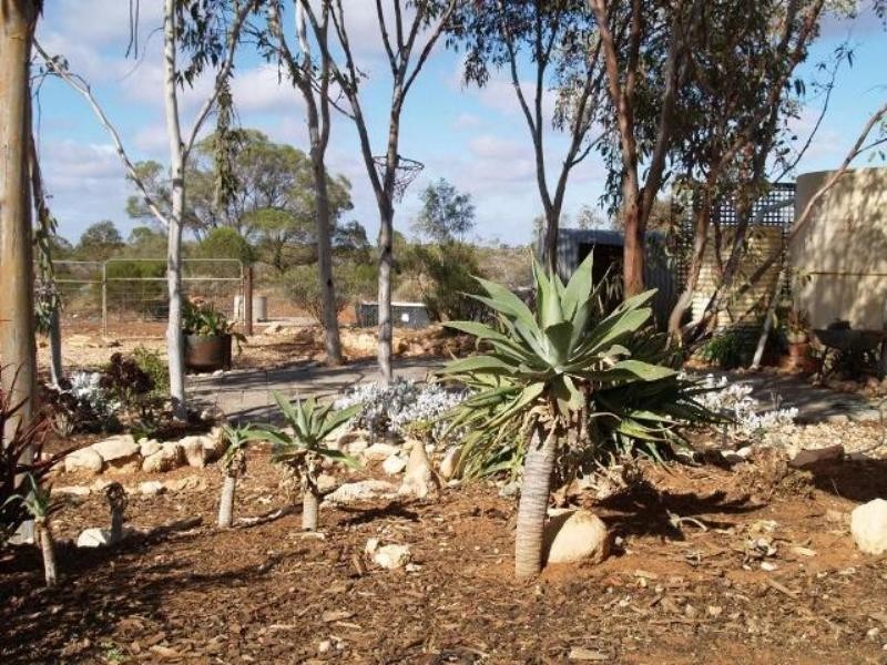 Lot 337 Blanchetown Road, Morgan SA 5320