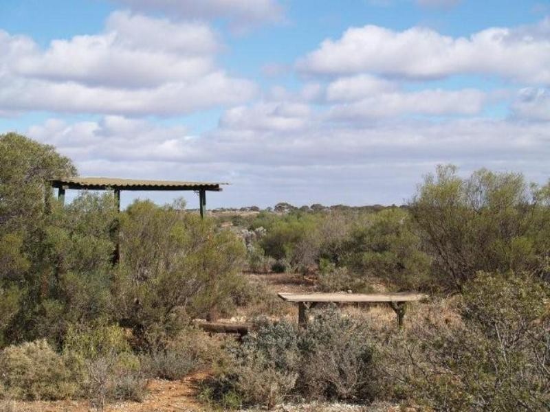 Lot 337 Blanchetown Road, Morgan SA 5320