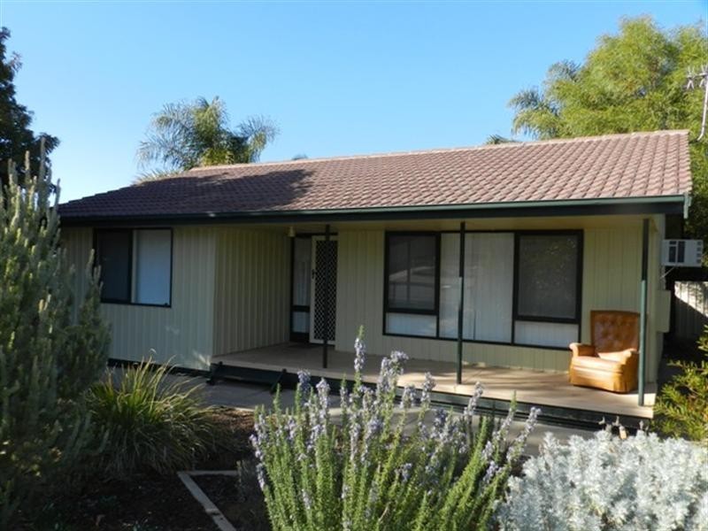 17 Jones Street, Berri SA 5343