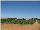 Sec 1380 Hardwick Road, Berri SA 5343