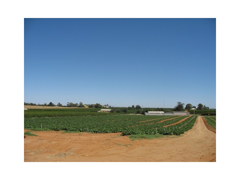 Sec 1380 Hardwick Road, Berri SA 5343