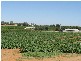 Sec 1380 Hardwick Road, Berri SA 5343