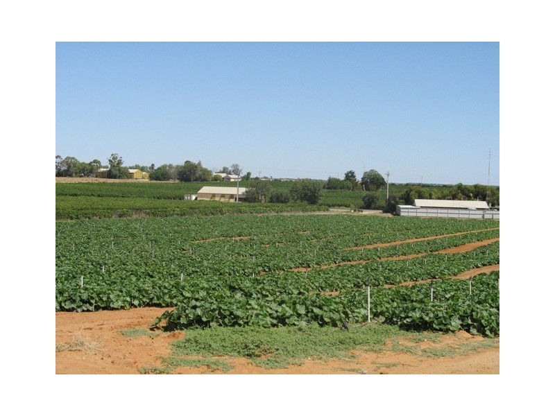 Sec 1380 Hardwick Road, Berri SA 5343
