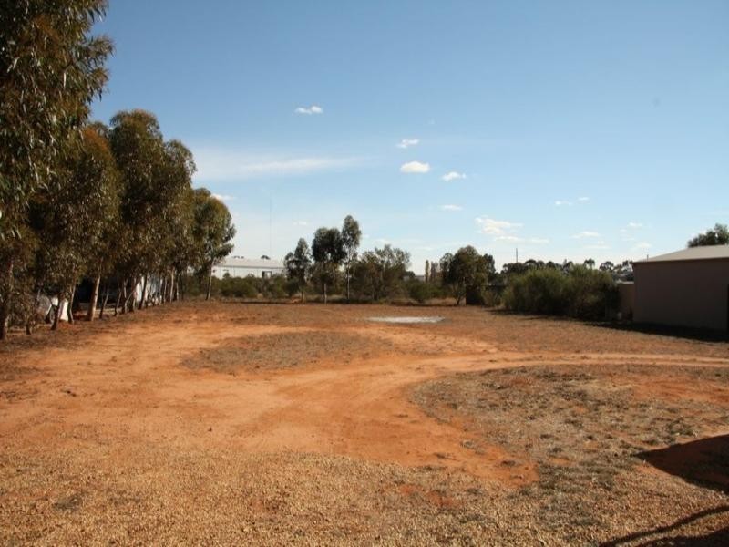 78 Trenerry Avenue, Loxton SA 5333