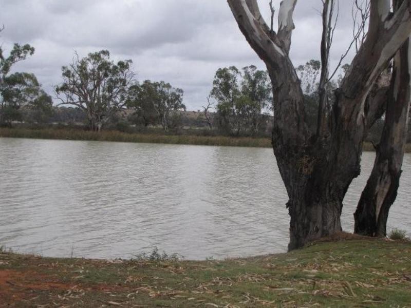 Lot 64 Ridgeway Private Estate, Murbko SA 5320