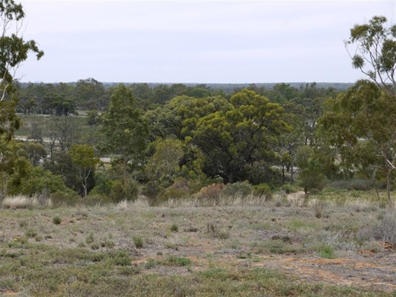 23 Hilltop Drive, Loxton SA 5333