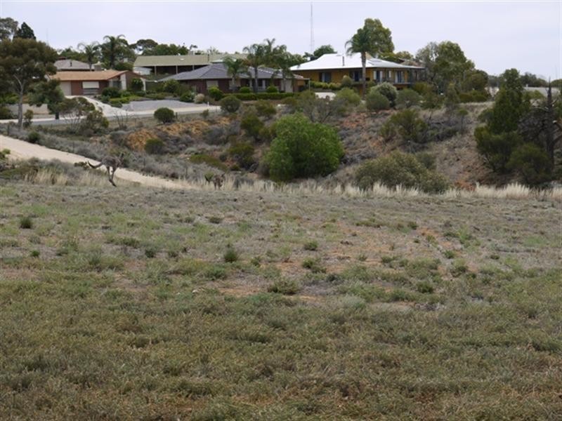 23 Hilltop Drive, Loxton SA 5333