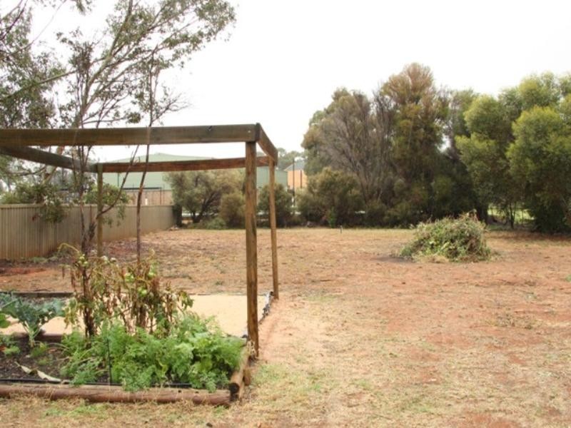 7 Gratwick Road, Loxton SA 5333