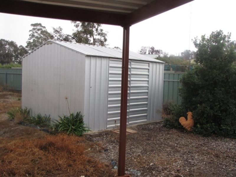 20 Farmer Street, Barmera SA 5345