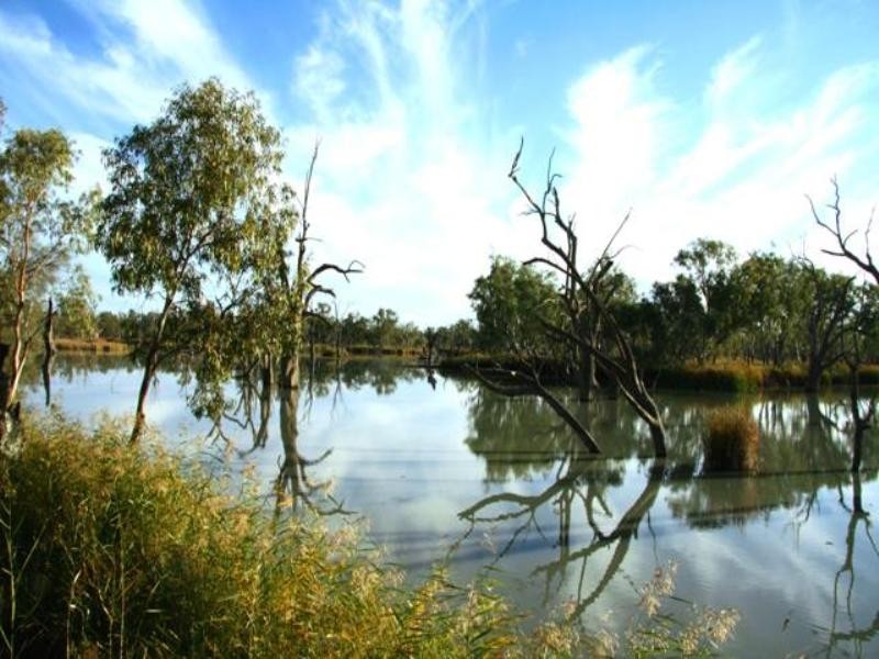 Sect 421, 164 370 and 430 Hdrd of Cobdogla, Barmera SA 5345