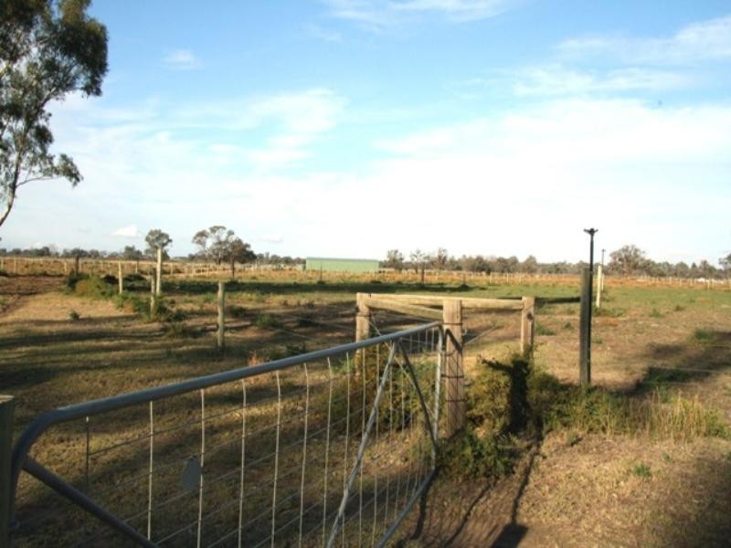 Sect 421, 164 370 and 430 Hdrd of Cobdogla, Barmera SA 5345