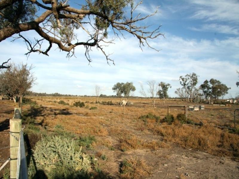 Sect 421, 164 370 and 430 Hdrd of Cobdogla, Barmera SA 5345