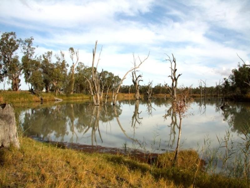 Sect 421, 164 370 and 430 Hdrd of Cobdogla, Barmera SA 5345