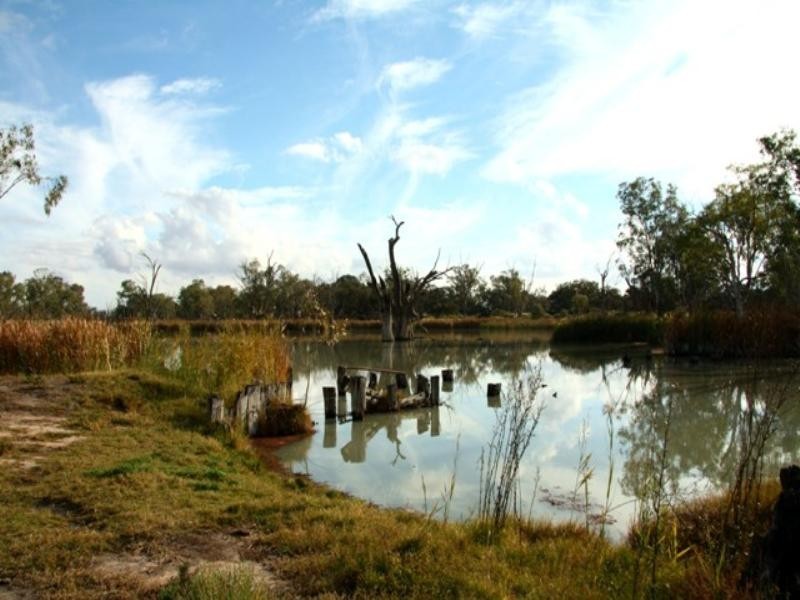 Sect 421, 164 370 and 430 Hdrd of Cobdogla, Barmera SA 5345