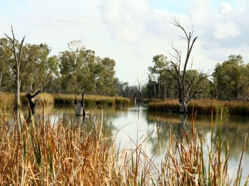 Sect 421, 164 370 and 430 Hdrd of Cobdogla, Barmera SA 5345