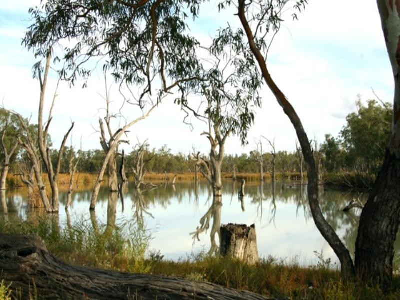 Sect 421, 164 370 and 430 Hdrd of Cobdogla, Barmera SA 5345