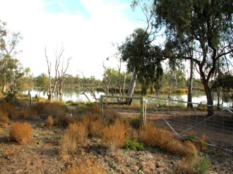 Sect 421, 164 370 and 430 Hdrd of Cobdogla, Barmera SA 5345