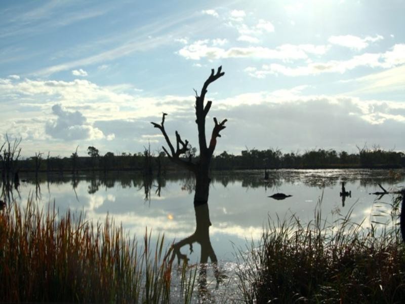 Sect 421, 164 370 and 430 Hdrd of Cobdogla, Barmera SA 5345