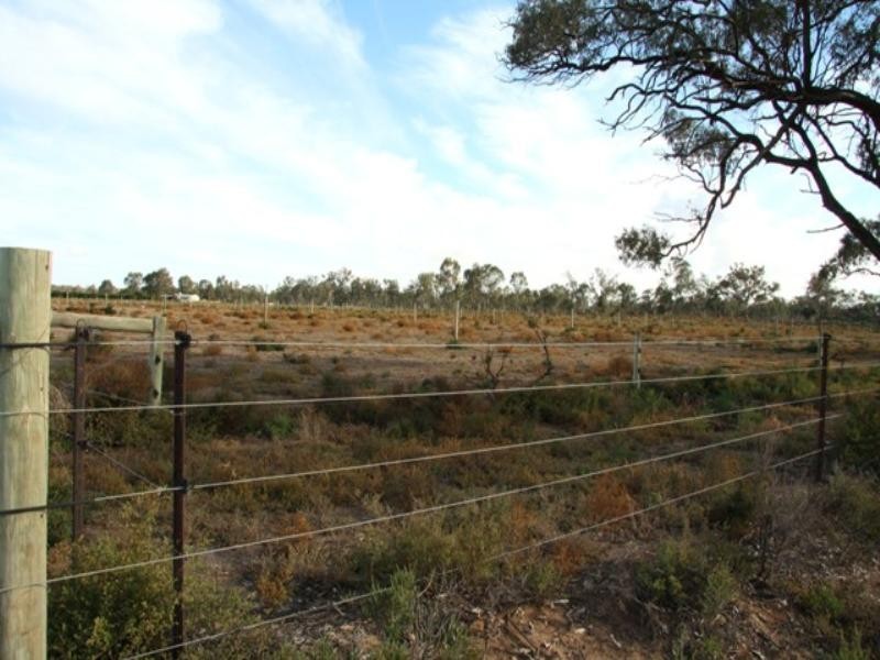 Sect 421, 164 370 and 430 Hdrd of Cobdogla, Barmera SA 5345