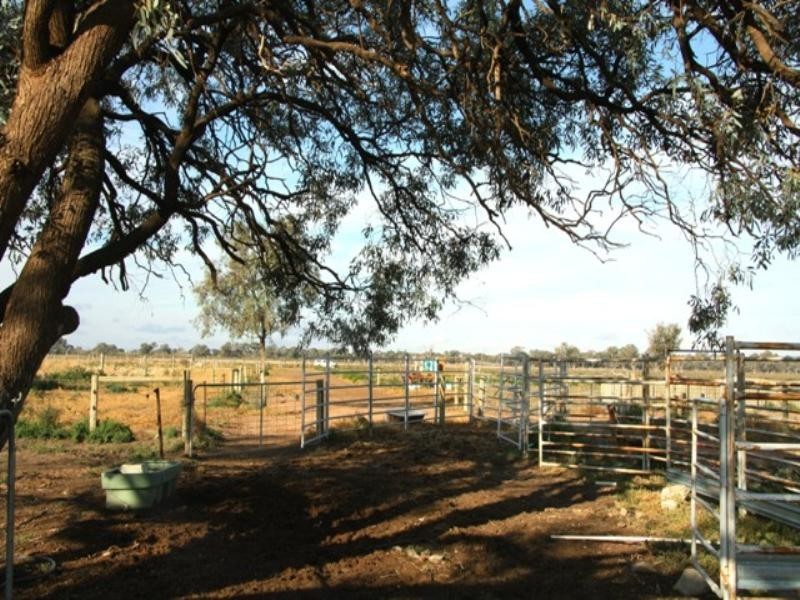 Sect 421, 164 370 and 430 Hdrd of Cobdogla, Barmera SA 5345