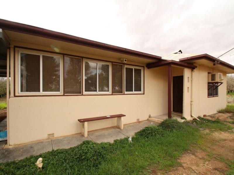 58 Briers Road, Loxton SA 5333