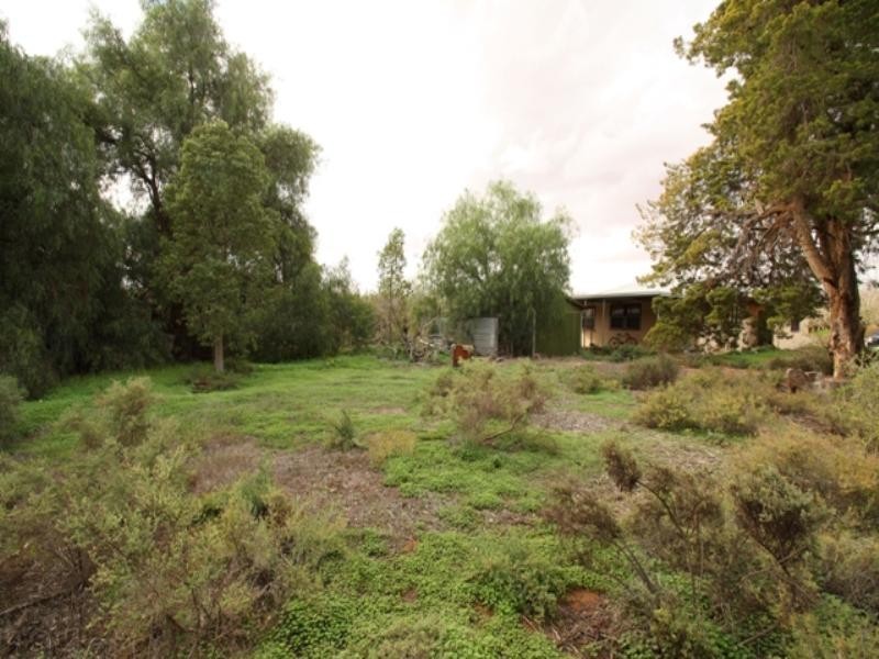 58 Briers Road, Loxton SA 5333