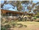 72 Little Bend Road, Morgan SA 5320