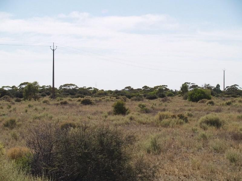 72 Little Bend Road, Morgan SA 5320