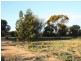 Lot 2 Badcoe Road, Loxton SA 5333