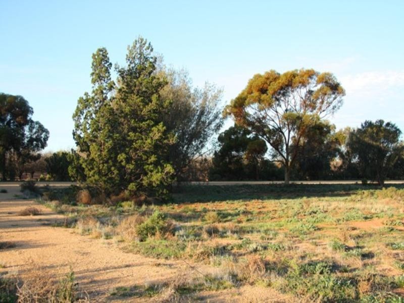 Lot 2 Badcoe Road, Loxton SA 5333