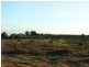 Lot 2 Badcoe Road, Loxton SA 5333
