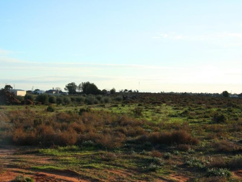 Lot 2 Badcoe Road, Loxton SA 5333