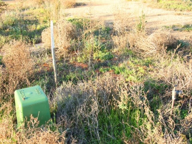 Lot 2 Badcoe Road, Loxton SA 5333