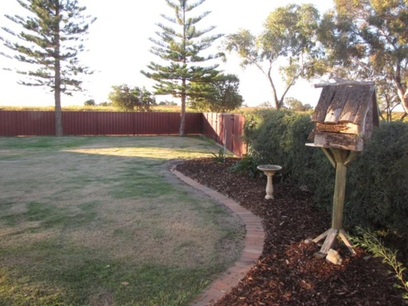 728 Pommy Avenue, Barmera SA 5345