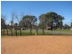 27 New Landing Way, Renmark SA 5341