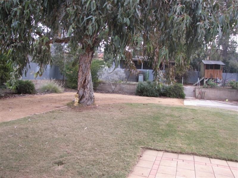 17 Powell Street, Berri SA 5343