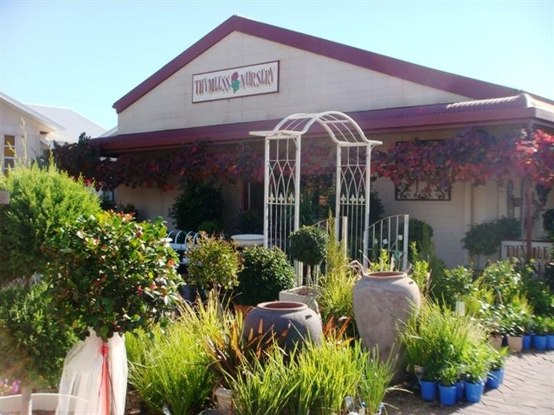 36 Bookpurnong Terrace, Loxton SA 5333