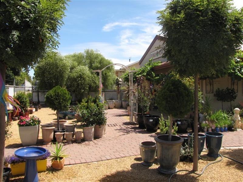 36 Bookpurnong Terrace, Loxton SA 5333