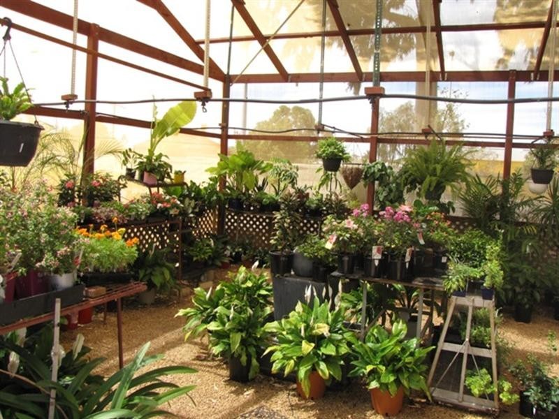 36 Bookpurnong Terrace, Loxton SA 5333