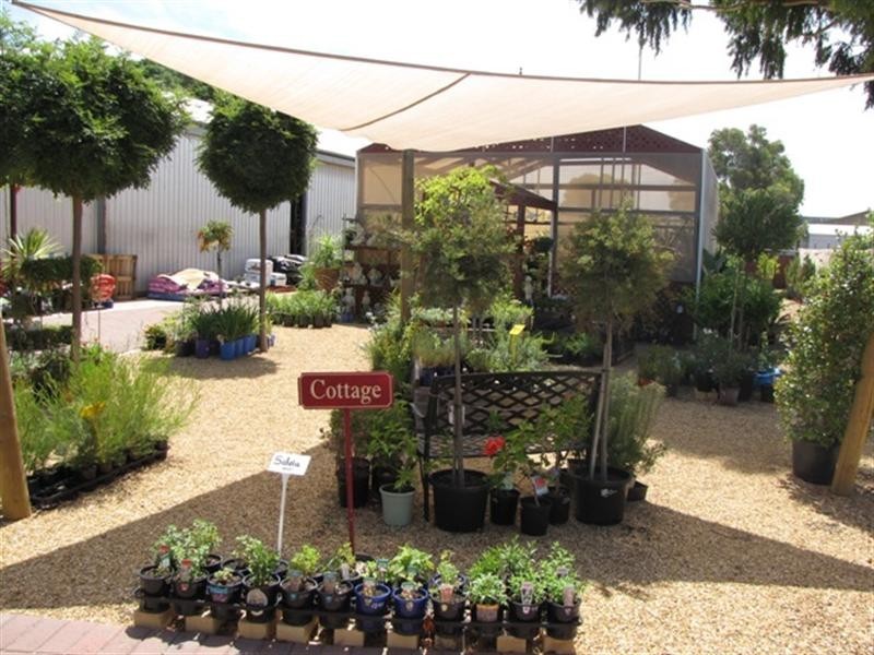 36 Bookpurnong Terrace, Loxton SA 5333