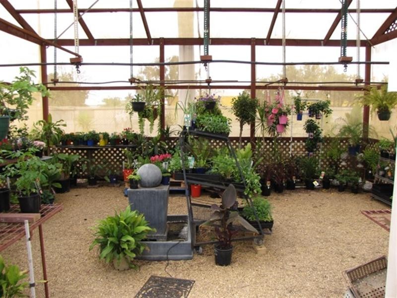 36 Bookpurnong Terrace, Loxton SA 5333