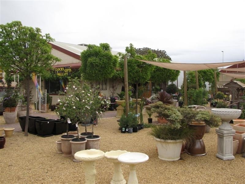 36 Bookpurnong Terrace, Loxton SA 5333